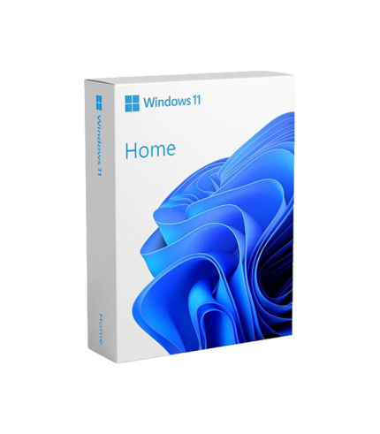 Windows 11 Home ESD