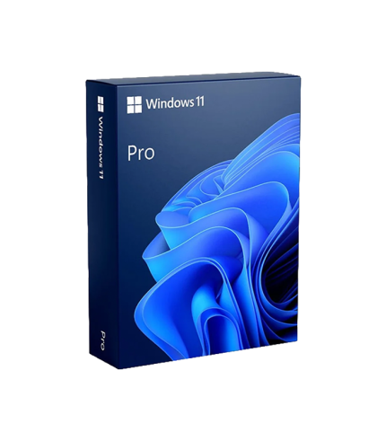 Windows 11 Pro FPP